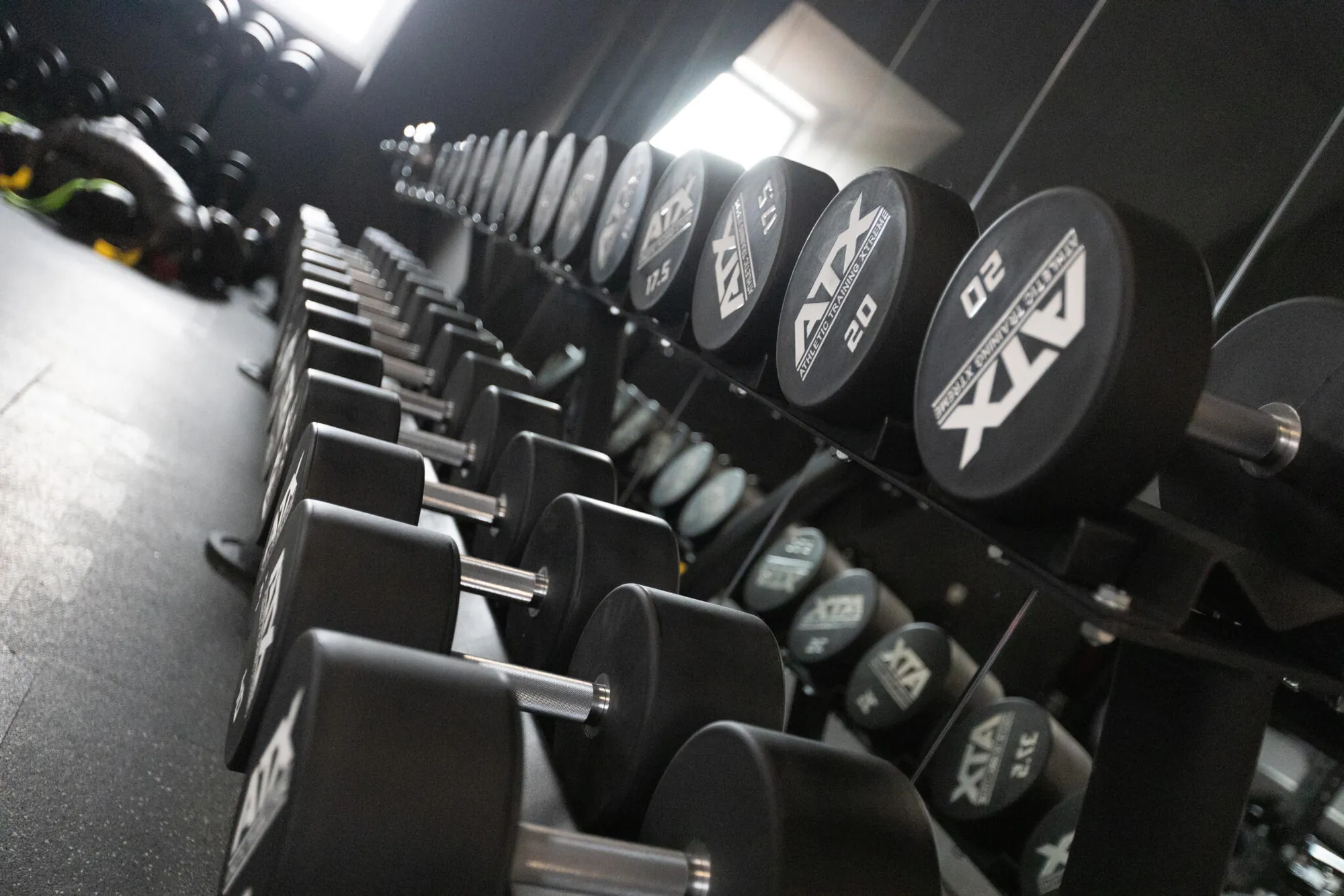 Fitness